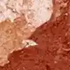 رنگ