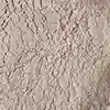رنگ