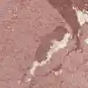 رنگ