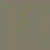 رنگ