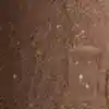 رنگ