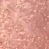 رنگ