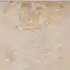 رنگ