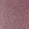 رنگ