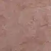 رنگ
