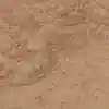 رنگ