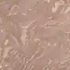 رنگ