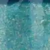 رنگ