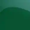 رنگ