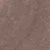 رنگ