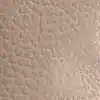 رنگ